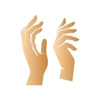 Hand pose, Cartoon human palms and wrist vector