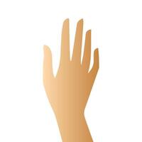 Hand pose, Cartoon human palms and wrist vector