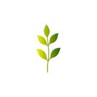 Green leaf icon. Leaves icon on isolated background. Collection green leaf. Elements design for natural, eco, vegan, bio labels vector