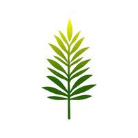Green leaf icon. Leaves icon on isolated background. Collection green leaf. Elements design for natural, eco, vegan, bio labels vector