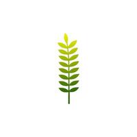 Green leaf icon. Leaves icon on isolated background. Collection green leaf. Elements design for natural, eco, vegan, bio labels vector