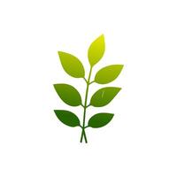 Green leaf icon. Leaves icon on isolated background. Collection green leaf. Elements design for natural, eco, vegan, bio labels vector