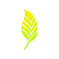 Green leaf icon. Leaves icon on isolated background. Collection green leaf. Elements design for natural, eco, vegan, bio labels vector