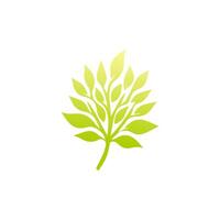 Green leaf icon. Leaves icon on isolated background. Collection green leaf. Elements design for natural, eco, vegan, bio labels vector