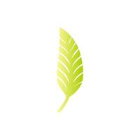 Green leaf icon. Leaves icon on isolated background. Collection green leaf. Elements design for natural, eco, vegan, bio labels vector