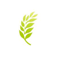 Green leaf icon. Leaves icon on isolated background. Collection green leaf. Elements design for natural, eco, vegan, bio labels vector