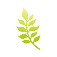 Green leaf icon. Leaves icon on isolated background. Collection green leaf. Elements design for natural, eco, vegan, bio labels vector