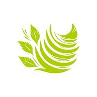 Green leaf icon. Leaves icon on isolated background. Collection green leaf. Elements design for natural, eco, vegan, bio labels vector