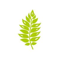 Green leaf icon. Leaves icon on isolated background. Collection green leaf. Elements design for natural, eco, vegan, bio labels vector