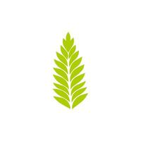 Green leaf icon. Leaves icon on isolated background. Collection green leaf. Elements design for natural, eco, vegan, bio labels vector