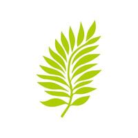 Green leaf icon. Leaves icon on isolated background. Collection green leaf. Elements design for natural, eco, vegan, bio labels vector