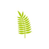 Green leaf icon. Leaves icon on isolated background. Collection green leaf. Elements design for natural, eco, vegan, bio labels vector