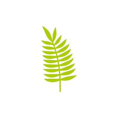 Green leaf icon. Leaves icon on isolated background. Collection green leaf. Elements design for natural, eco, vegan, bio labels