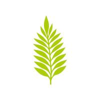 Green leaf icon. Leaves icon on isolated background. Collection green leaf. Elements design for natural, eco, vegan, bio labels vector
