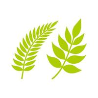 Green leaf icon. Leaves icon on isolated background. Collection green leaf. Elements design for natural, eco, vegan, bio labels vector