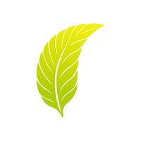 Green leaf icon, Elements design for natural, eco, vegan, bio label vector