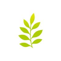 Green leaf icon. Leaves icon on isolated background. Collection green leaf. Elements design for natural, eco, vegan, bio labels vector