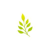 Green leaf icon, Elements design for natural, eco, vegan, bio label vector