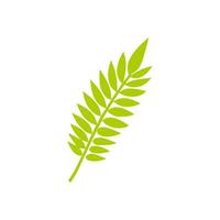 Green leaf icon, Elements design for natural, eco, vegan, bio label vector