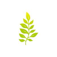 Green leaf icon, Elements design for natural, eco, vegan, bio label vector