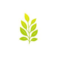 Green leaf icon, Elements design for natural, eco, vegan, bio label vector