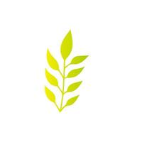 Green leaf icon, Elements design for natural, eco, vegan, bio label vector