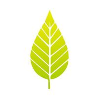 Green leaf icon, Elements design for natural, eco, vegan, bio label vector