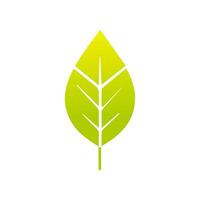 Green leaf icon, Elements design for natural, eco, vegan, bio label vector