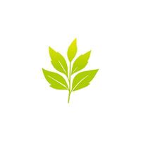 Green leaf icon, Elements design for natural, eco, vegan, bio label vector