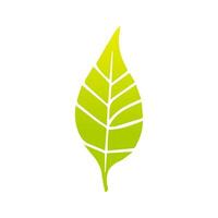 Green leaf icon, Elements design for natural, eco, vegan, bio label vector