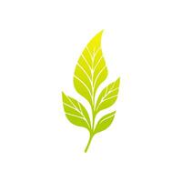 Green leaf icon, Elements design for natural, eco, vegan, bio label vector