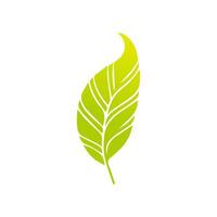 Green leaf icon, Elements design for natural, eco, vegan, bio label vector