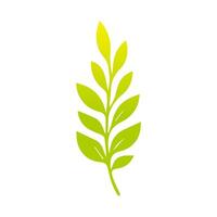 Green leaf icon, Elements design for natural, eco, vegan, bio label vector