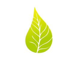 Green leaf icon, Elements design for natural, eco, vegan, bio label vector