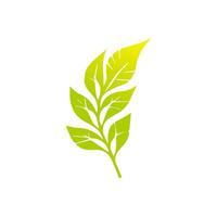 Green leaf icon, Elements design for natural, eco, vegan, bio label vector