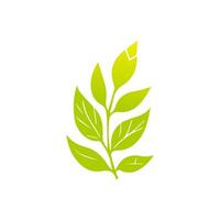 Green leaf icon, Elements design for natural, eco, vegan, bio label vector