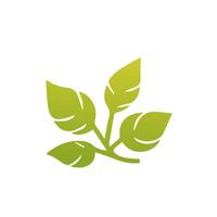 Green leaf icon, Elements design for natural, eco, vegan, bio label vector