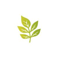 Green leaf icon, Elements design for natural, eco, vegan, bio label vector