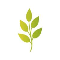 Green leaf icon, Elements design for natural, eco, vegan, bio label vector