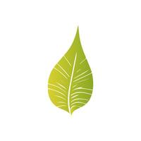 Green leaf icon, Elements design for natural, eco, vegan, bio label vector