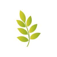 Green leaf icon, Elements design for natural, eco, vegan, bio label vector