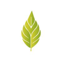 Green leaf icon, Elements design for natural, eco, vegan, bio label vector