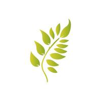 Green leaf icon, Elements design for natural, eco, vegan, bio label vector