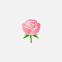 blooming flowers and leaves, Spring botanical flat illustration on white background vector