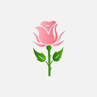 blooming flowers and leaves, Spring botanical flat illustration on white background vector