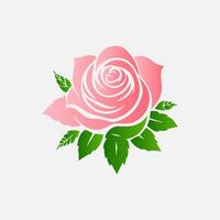 blooming flowers and leaves, Spring botanical flat illustration on white background vector