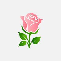 blooming flowers and leaves, Spring botanical flat illustration on white background vector