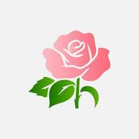 blooming flowers and leaves, Spring botanical flat illustration on white background vector