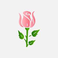 blooming flowers and leaves, Spring botanical flat illustration on white background vector