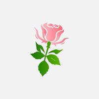 blooming flowers and leaves, Spring botanical flat illustration on white background vector